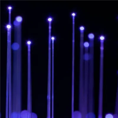 Aml-fodd Fiber